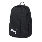 Puma Teamgoal 23