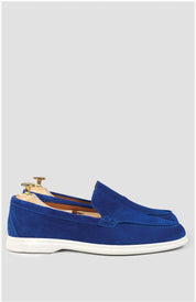 Cannes Daim Bleu Roi