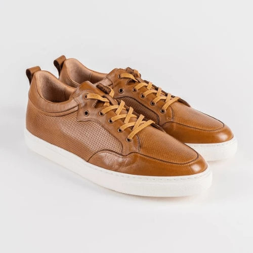 CU02-Camel_bb55ce48-2272-49f5-a22a-fbfef0682815.png