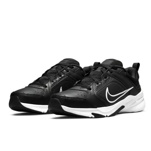 Chaussures Nike Defyallday