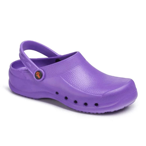 Dian-eva-Violet_76d5c40f-9fc9-417e-8914-c4e0a9f96224.png