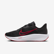 Chaussures Nike Quest 6