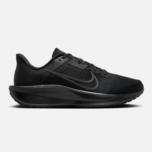 Chaussures Nike Quest 6