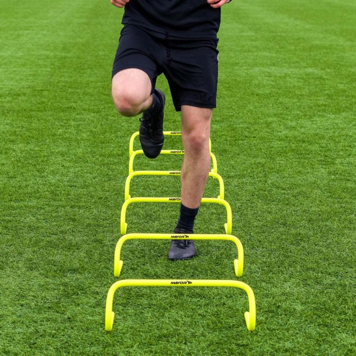 Hurdle Agility Train 15CM