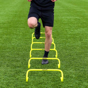 Hurdle Agility Train 23CM