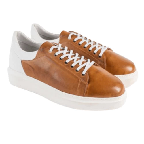 Mac02-Camel.png