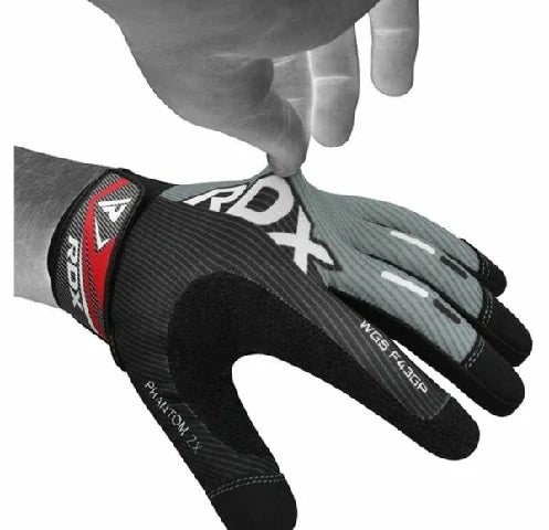 RDXWGS-F43GP-S_3.webp