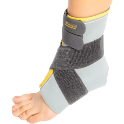 Chevillere Ligamentaire Morsa