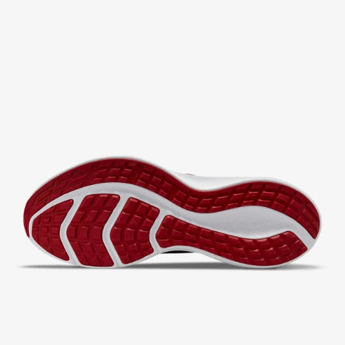 Chaussures hommes downshifter 11 Nike