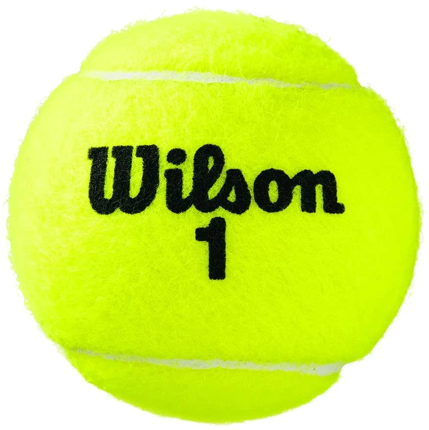 Ballon de tennis Wilson Tour All Court 4 Ball