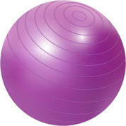 GYM BALL 55cm